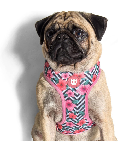 ZEE.DOG Mahalo Air Mesh Postroj S