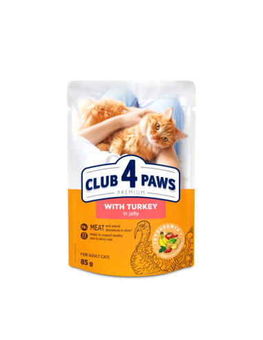 club4paws CAT ADULT kapsička s morčacím v želé 100g