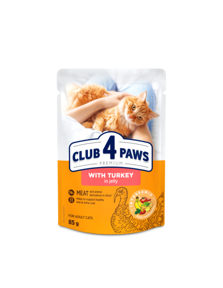 club4paws CAT ADULT kapsička s morčacím v želé 100g