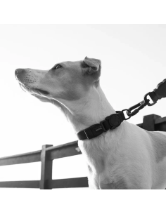 Zee.Dog Gotham obojok M 2