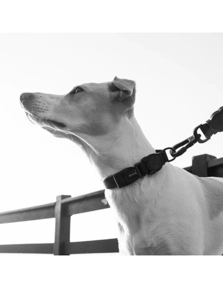 Zee.Dog Gotham obojok M