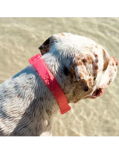 Zee.Dog obojok neoprenový L Bubble gum