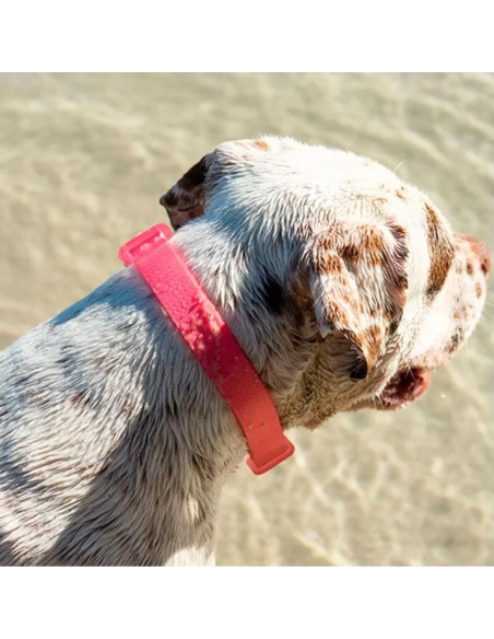 Zee.Dog obojok neoprenový L Bubble gum