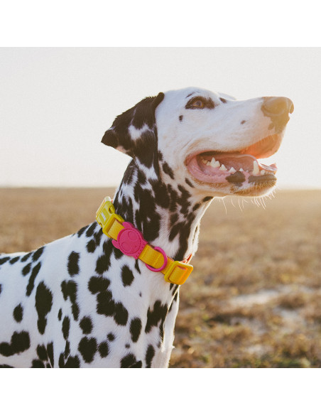 Zee.Dog obojok neoprenový L Lyra