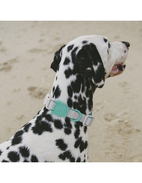 Zee.Dog obojok neoprenový L Tidal