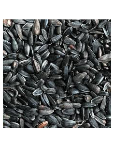 Apetit slnečnica čierna 800g 2