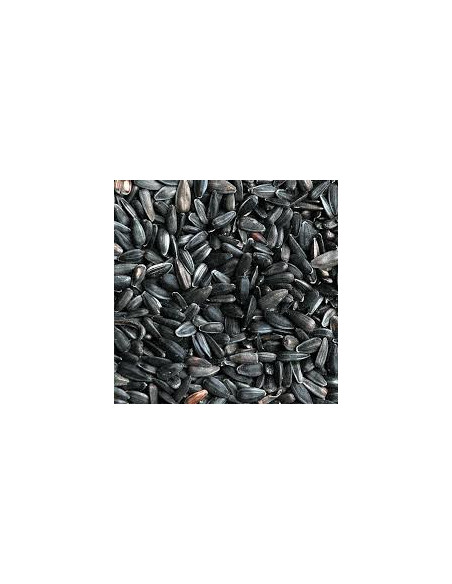 Apetit slnečnica čierna 800g