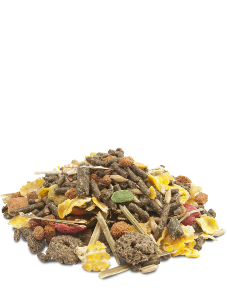 VL Crispy Muesli Guinea Pigs krmivo pre morské prasiatka