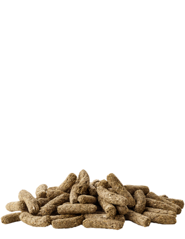 VL Complete Cuni Adult- pre trpasličích a doma chovaných králikov 500 g