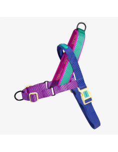 ZEE.DOG Softer Walk Shockwave S